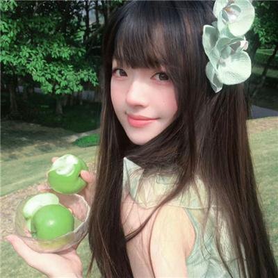 与凤飞
