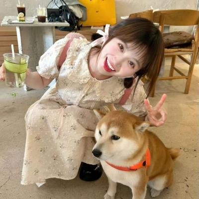 相敬如宾